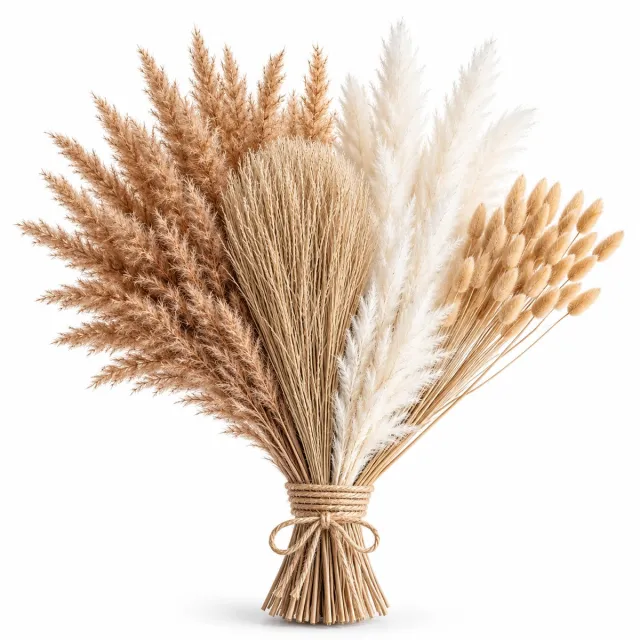 BOTC Pampasgras Droogboeket - 100 Stuks - Gedroogd Pampasgras & Konijnenstaart 35-43 cm - Boho Woondecoratie - Wit & Naturel Bruin