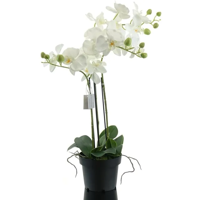 Gasper Kunstorchidee Phalaenopsis wit 62 cm