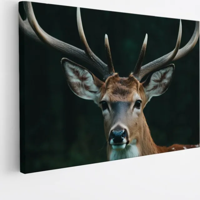 Saammp Canvas Schilderij - Hert - Portret - Dieren - 30x20 - Foto op canvas - Wanddecoratie - Muurdecoratie Woonkamer - Slaapkamer decoratie - Canvas Print Multicolor