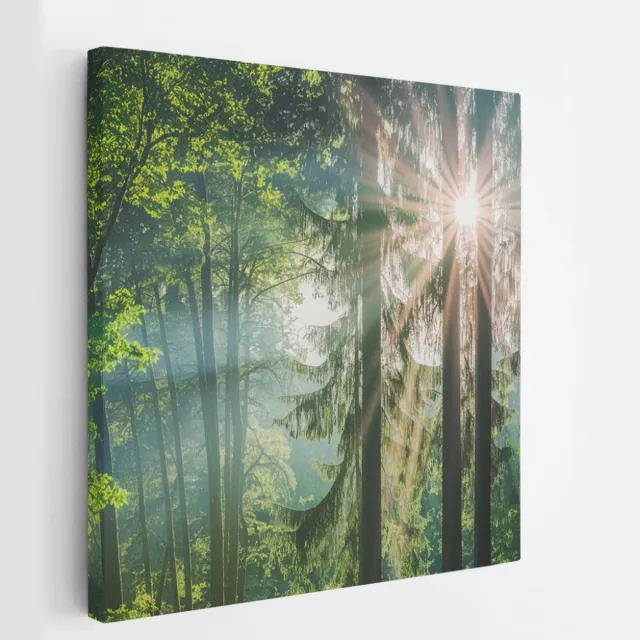Saammp Canvas Schilderij - Zon tussen de bomen - Bos - Landschap - Natuur - 20x20 - Foto op canvas - Wanddecoratie - Muurdecoratie Woonkamer - Slaapkamer decoratie - Canvas Print Multicolor