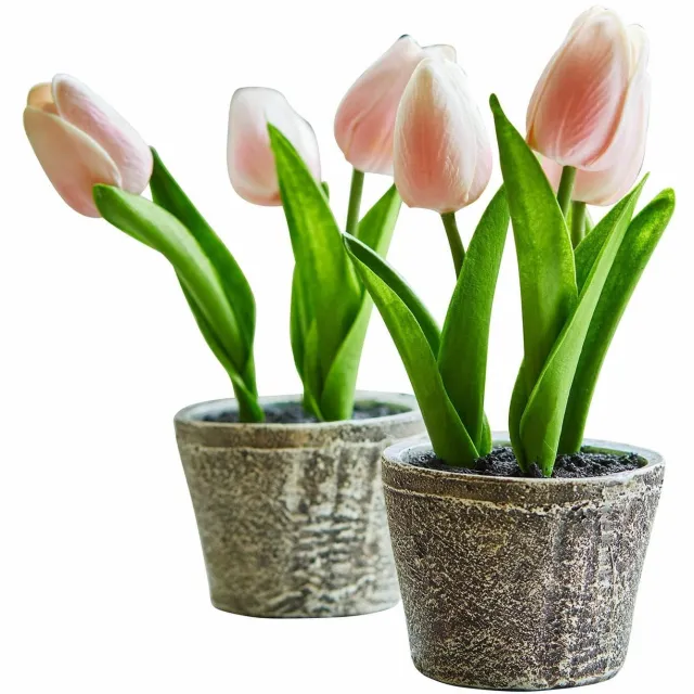 Loberon Siertulpen set van 2 Zéphine roze