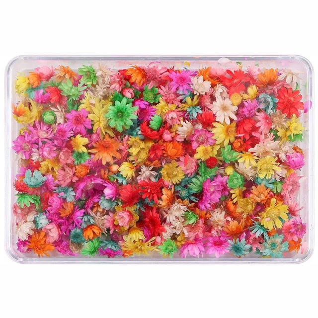 Famanu 200 mini gedroogde bloemen voor sieraden, kaarsen en scrapbooking