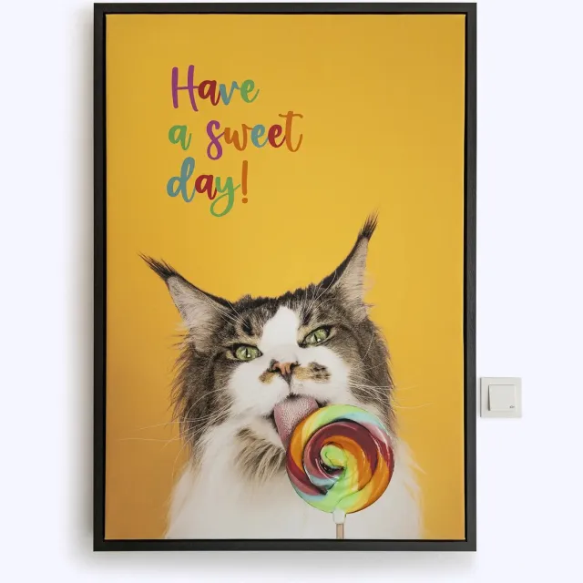 Cat'chy Wanddeco - poster - canvas - vrolijk - kat geel