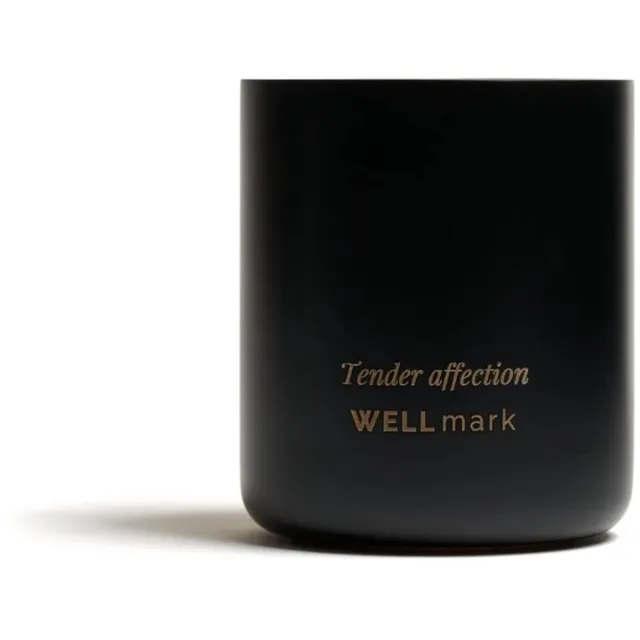 Wellmark geurkaars 210gr tender affection midnight green Smokey black