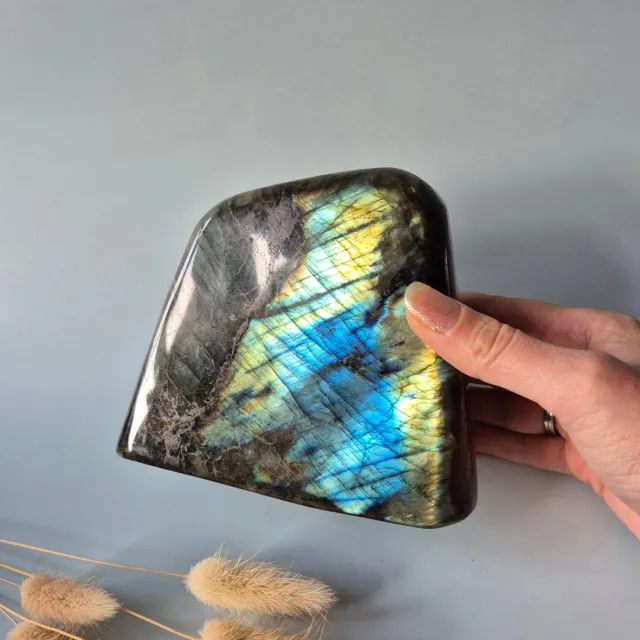 Moonlight Gemstones XXL Labradoriet Freeform van 1469g – Intense Flash & Spirituele Bescherming Marineblauw