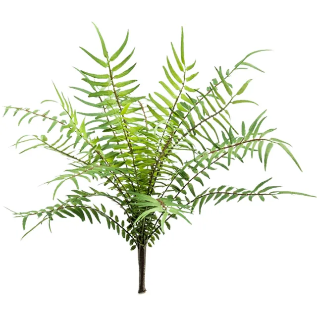 Emerald Fern blechnum bush 25 cm kunstbloem zijde nepbloem Emerald onbekend