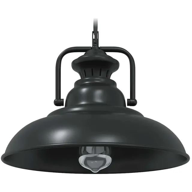 vidaXL Hanglamp E27 Ø 31 cm ijzer zwart