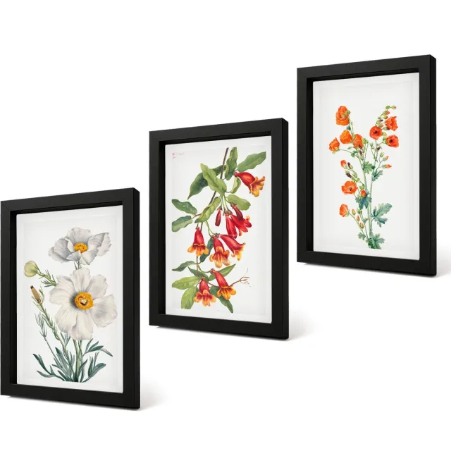 Coloray 4-Delige Schilderij Set - Bloemcomposities Retro Vintage Schilderij - 20 x 30 cm - Wanddecoratie - Schilderijen Set - Interieur - Moderne Wanddecoratie Zwarte lijst