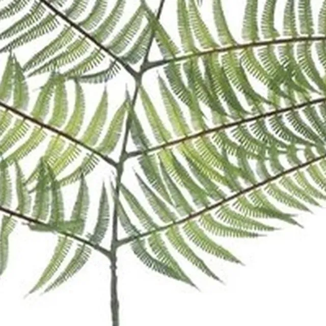Erutan avon Fern branche lt green 145 cm onbekend