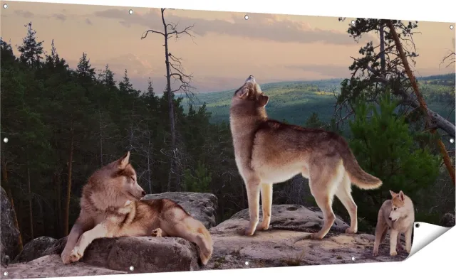Gards Tuinposter Drie Wolven op een Rots in het Bos - 200x100 cm - Tuindoek - Tuindecoratie - Wanddecoratie buiten - Tuinschilderij Multikleur