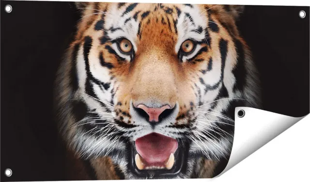 Gards Tuinposter Tijgerkop - Tijger - 80x40 cm - Tuindoek - Tuindecoratie - Wanddecoratie buiten - Tuinschilderij Multikleur