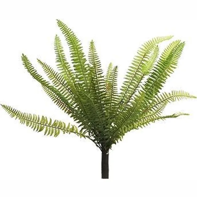 Erutan avon Nephrolepis Boston green 40 cm kunstplant Erutan Avon groen