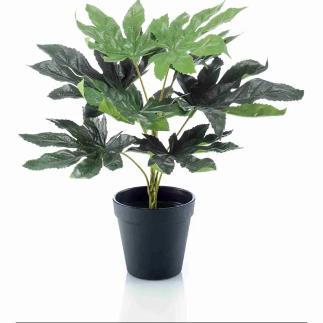 Emerald Kunstplant in pot Fatsia 30cm - Kunstplant voor binnen Groen