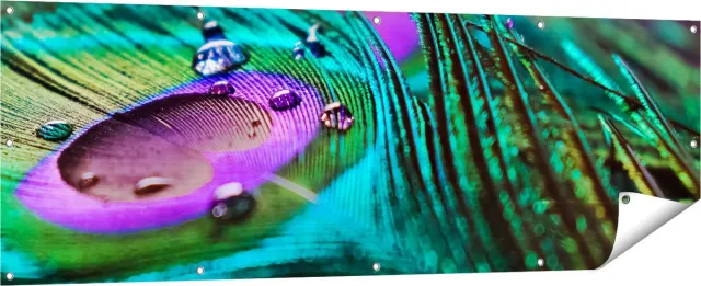 Gards Tuinposter Kleurrijke Pauw Veer met Waterdruppels - 180x60 cm - Tuindoek - Tuindecoratie - Wanddecoratie buiten - Tuinschilderij Multikleur