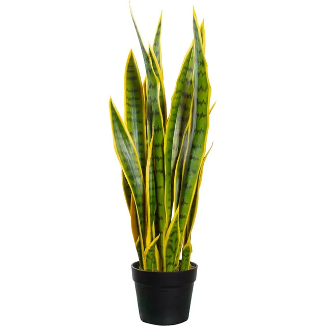 HTT Decorations Kunstplant Sansevieria H70cm - HTT Decorations kunstplanten Groen