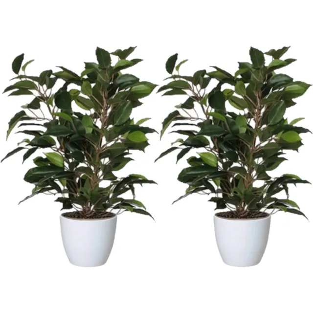 Mica Decorations 2x stuks groene ficus kunstplant 40 cm met plantenpot glanzend wit D13.5 en H12.5 cm