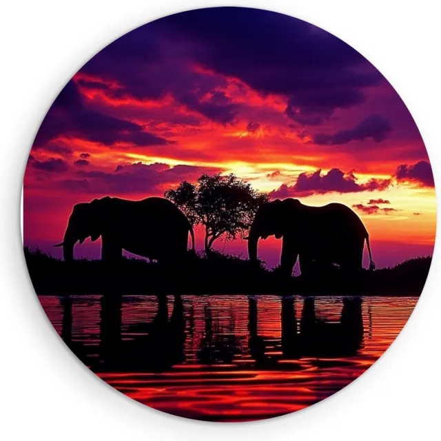 Saammp Forex Muurcirkel - Familie Olifanten silhouet - Afrika - Dieren - Ø 30 - Wandcirkel - Wanddecoratie Cirkel - muurdecoratie Woonkamer - Slaapkamer decoratie - Rond Schilderij