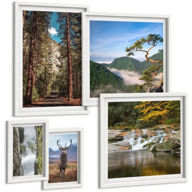 Coloray 5-Delige Schilderij Set - Natuurlijke Landschappen Van Bergbossen En Wilde Dieren - 50 x 50 cm, 20 x 30 cm En 40 x 60 cm - Stijlvolle Muurdecoratie - Slaapkamer - Wanddecoratie Witte lijst