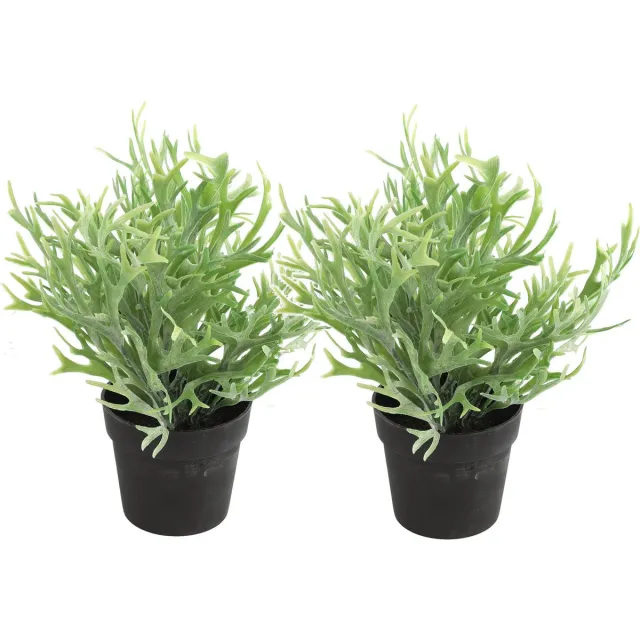 Countryfield Kunstplant Platycerium plant in bloempot - 2x - Groen - 20 x 24 cm