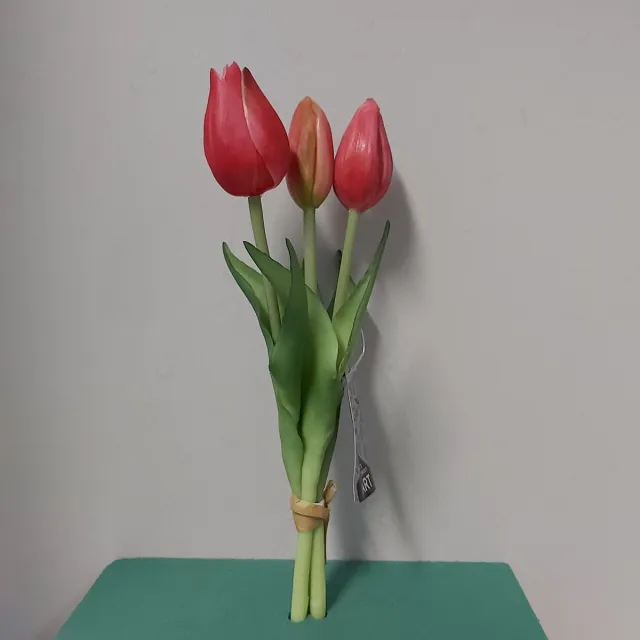 Erutan avon Nova Nature Holland tulp bundel Sally x3 25cm rood