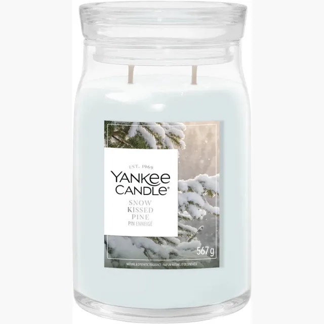 Yankee Candle Snow Kissed Pine Large Jar - tot 80 branduren Wit