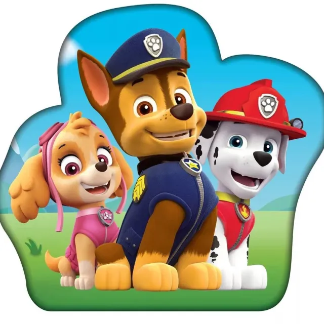 PAW Patrol sierkussen Troop 36 x 36 cm Multicolor