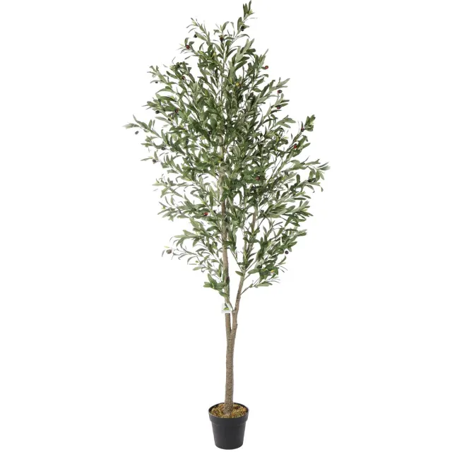 Kunstpalm Kunst Olijfboom | 210cm | Grote kunstplant - Premium Nep olijfboom - Valse olijfboom met olijven - Kunstolijfboom Donkergroen