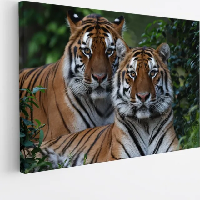 Saammp Canvas Schilderij - 2 Tijgers tussen de Planten - Natuur - Dieren - 60x40 - Foto op canvas - Wanddecoratie - muurdecoratie Woonkamer - Slaapkamer decoratie - Canvas Print Multicolor