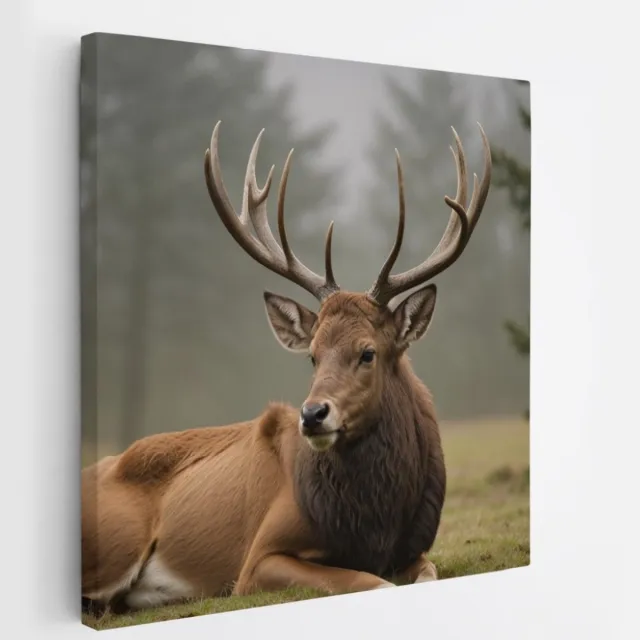 Saammp Canvas Schilderij - Liggend Hert - Natuur - Dieren - 60x60 - Foto op canvas - Wanddecoratie - Muurdecoratie Woonkamer - Slaapkamer decoratie - Canvas Print Multicolor