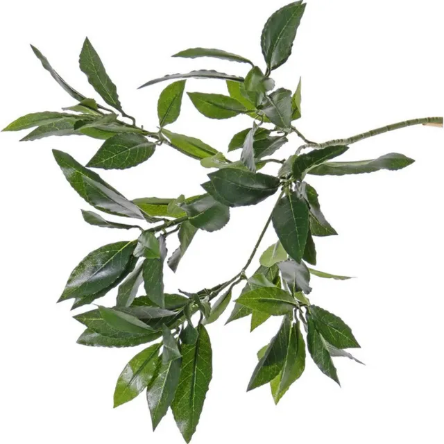 Bellatio Flowers & Plants Kunstplant laurierblad - Kunsttakken - groen - 48 cm - Boeketten maken kunstplanten