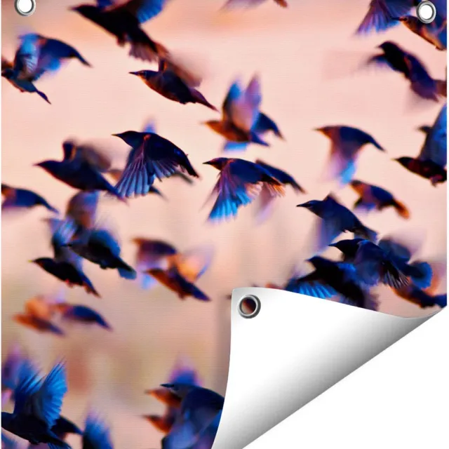 Gards Tuinposter Groep Vliegende Blauwe Spreeuw Vogels - 40x40 cm - Tuindoek - Tuindecoratie - Wanddecoratie buiten - Tuinschilderij Multikleur