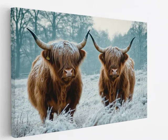 Saammp Canvas Schilderij - 2 Schotse Hooglander Koeien - Dieren - Landschap - 90x60 - Foto op canvas - Wanddecoratie - muurdecoratie Woonkamer - Slaapkamer decoratie - Canvas Print Multicolor