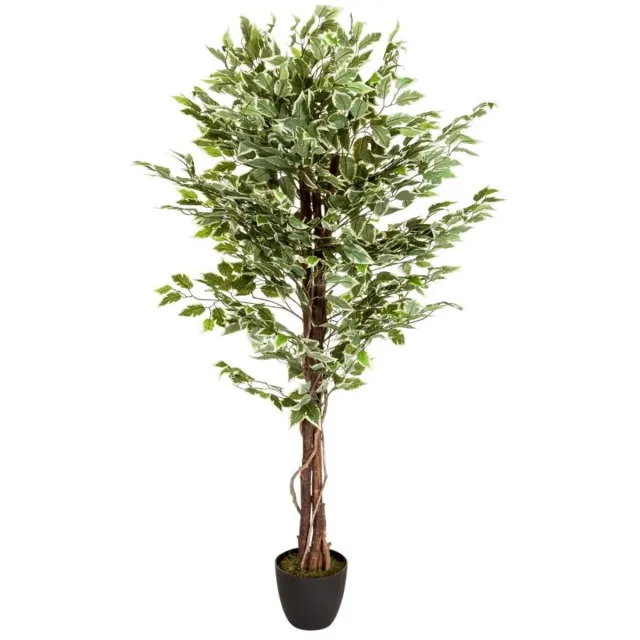MELINERA Kunstplant Ficus - Afmetingen: 80 x 165 cm groen