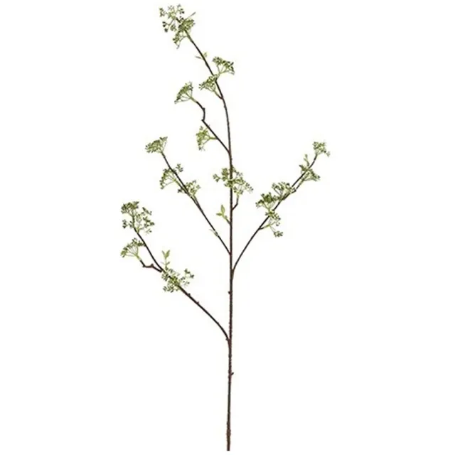 Kuntsbloem Viburnum Wit