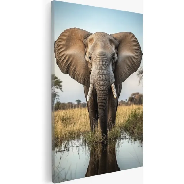 Saammp Canvas Schilderij - Olifant in afrika - Dieren - Natuur - 30x40 - Foto op canvas - Wanddecoratie - Muurdecoratie Woonkamer - Slaapkamer decoratie - Canvas Print Multicolor