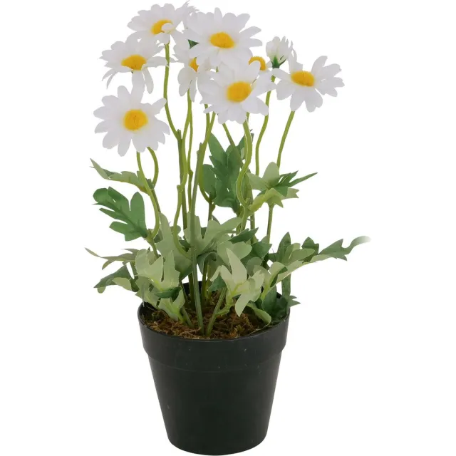 Boltze Home Potplant Kamille 15x15x28cm wit