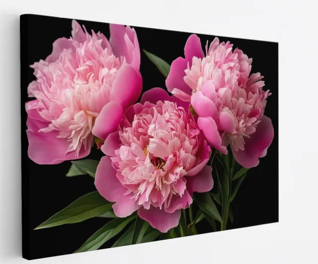 Saammp Canvas Schilderij - 3 roze bloemen - Natuur - Abstract - 50x40 - Foto op canvas - Wanddecoratie - Muurdecoratie Woonkamer - Woonkamer Decoratie Multicolor