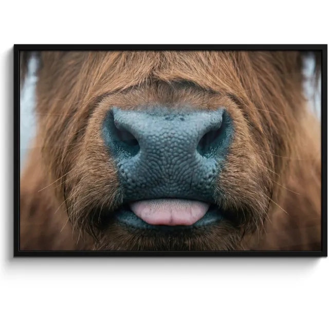FrameYourWall Poster in lijst - Fotolijst 120x80 cm - Posters - Schotse hooglander - Neus - Bruin - Posterlijst zwart - Decoratie - Wanddecoratie woonkamer - Muurdecoratie slaapkamer