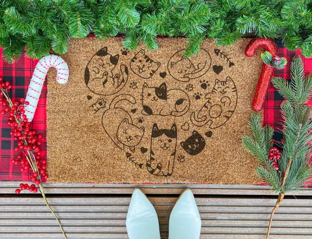 Laser Point Pawsitively Charming Meow | 60x40 cm | Nieuwe huis cadeau | Ingangsmat | Deurmat met stijl | Verhuizing cadeau | Praktisch & trendy | Perfect voor binnenkomst | Cadeau voor nieuwe woning Bruin | Zwart (Gravering 60x40)