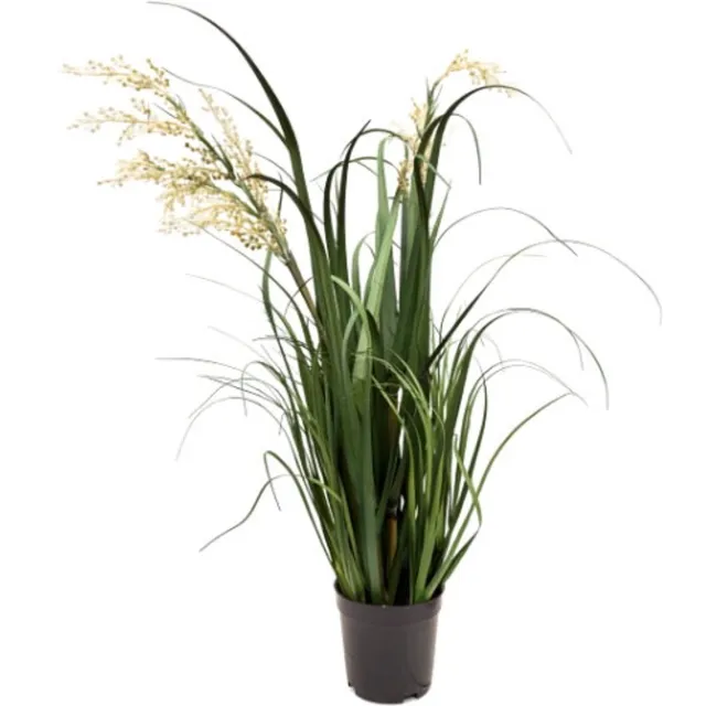 Oosterik Home Rietgras creme H 74 cm kunstplant Oosterik Home onbekend