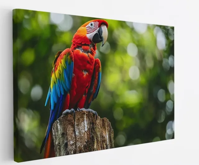 Saammp Canvas Schilderij - Papegaai - Kleurrijk - Dieren - Natuur - 90x60 - Foto op canvas - Wanddecoratie - muurdecoratie Woonkamer - Slaapkamer decoratie - Canvas Print Multicolor