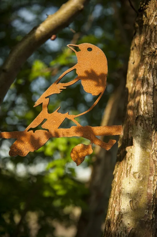 Birdwise Ekster Metaal