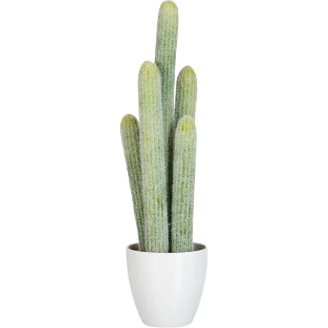 Dulaire Nep Cactus Groot 54 cm groen