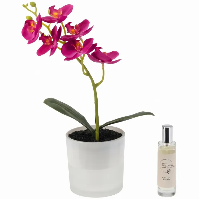 Home & Styling Collection Home Styling Collection - Kunstbloem - Kunstorchidee in glazen pot met LED en geurspray, hoogte 30 cm Roze