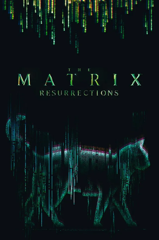 ABYSTYLE Poster The Matrix - Cat 61x91,5cm Divers