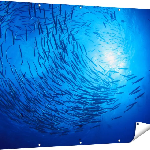 Gards Tuinposter Zwerm Vissen in de Oceaan - 160x120 cm - Tuindoek - Tuindecoratie - Wanddecoratie buiten - Tuinschilderij Multikleur
