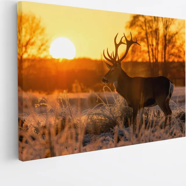 Saammp Canvas Schilderij - Hert - Zonsondergang - Winter - Natuur - Dieren - 90x60 - Foto op canvas - Wanddecoratie - Muurdecoratie Woonkamer - Slaapkamer decoratie - Canvas Print Multicolor