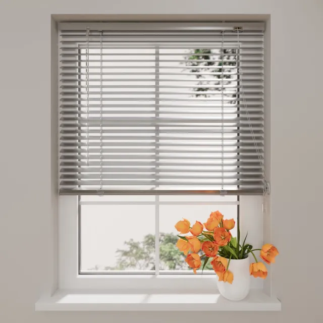 DTCH Aluminium Jaloezie Easy - 25 mm - Silver - 220 x 175