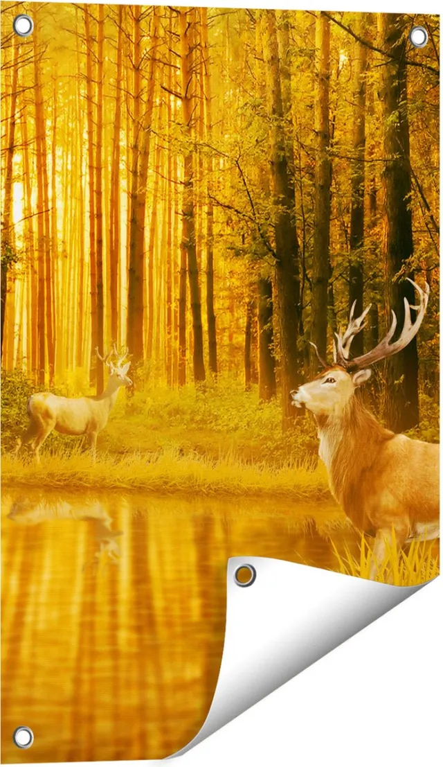 Gards Tuinposter Twee Herten in het Bos bij het Water - 40x60 cm - Tuindoek - Tuindecoratie - Wanddecoratie buiten - Tuinschilderij Multikleur