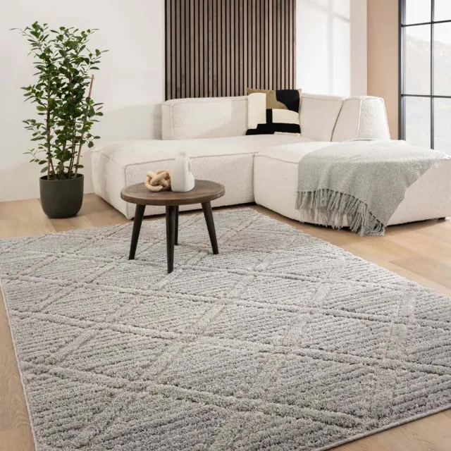 Tapeso Scandinavisch vloerkleed - Arc Gem lichtgrijs 240x340